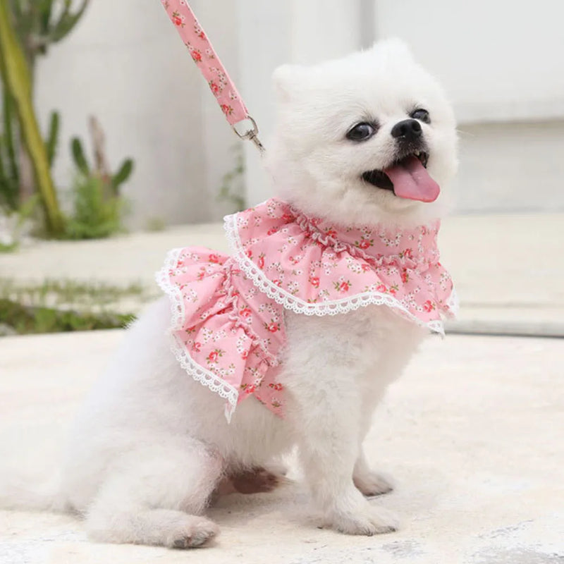 Peitoral para cães pequenos e gatos com estampa floral, com vestido fofo com guia.