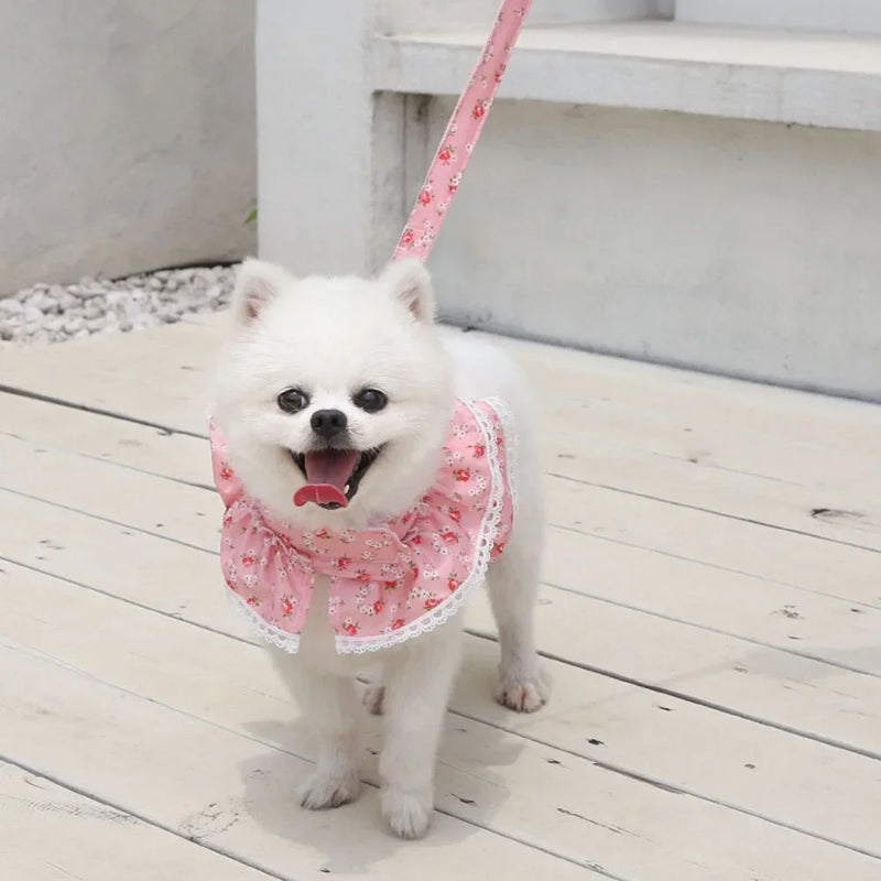 Peitoral para cães pequenos e gatos com estampa floral, com vestido fofo com guia.