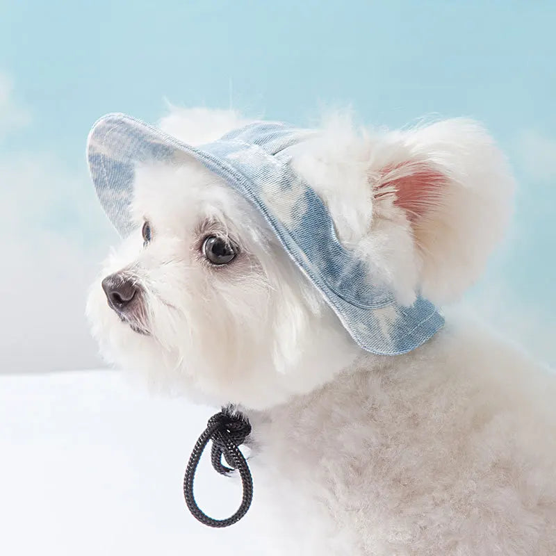 Chapéu de sol com buracos para as orelhas para cães de estimação, estilo casual