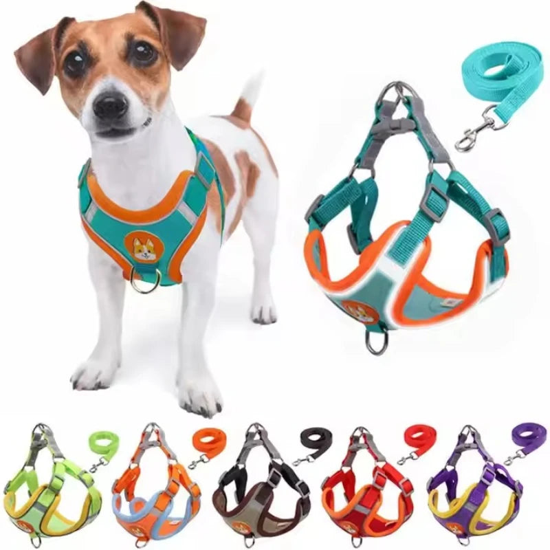 Conjunto Peitoral e guia ajustável para cães pequenos e médios, com colete refletivo para passeios ao ar livre