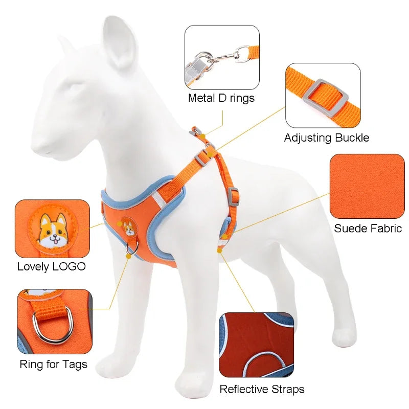 Conjunto Peitoral e guia ajustável para cães pequenos e médios, com colete refletivo para passeios ao ar livre